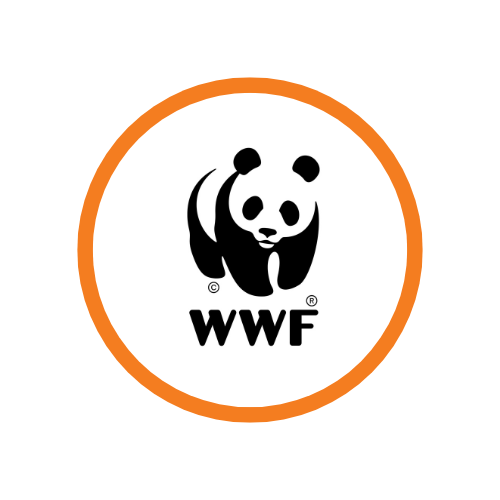 wwf sokken